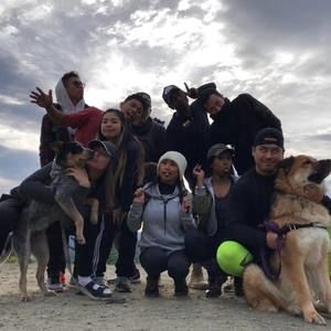 Meet your Posher, Bailey